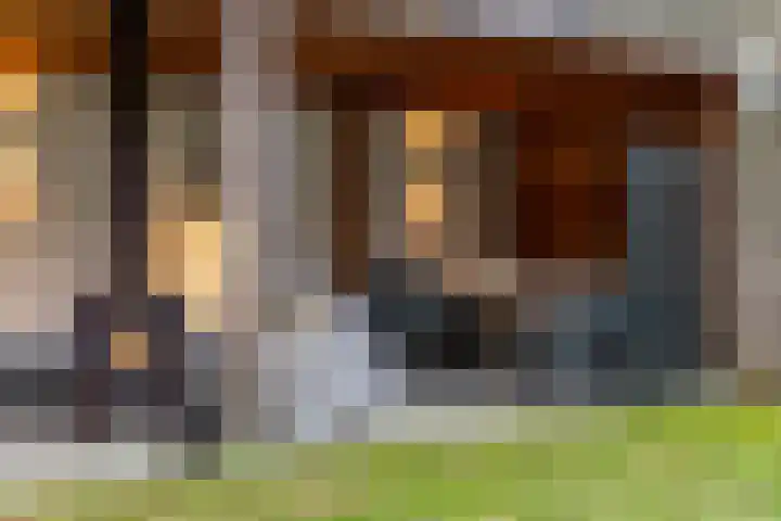 Olga von Gotschlaan 23 Santpoort-Zuid thumbnail 22
