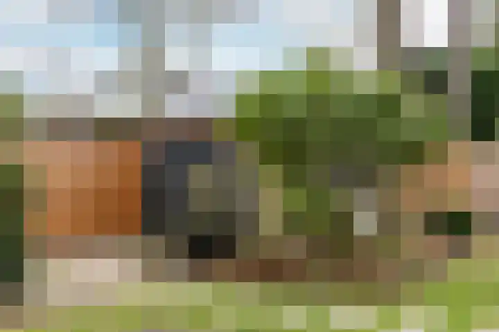 Olga von Gotschlaan 23 Santpoort-Zuid thumbnail 24