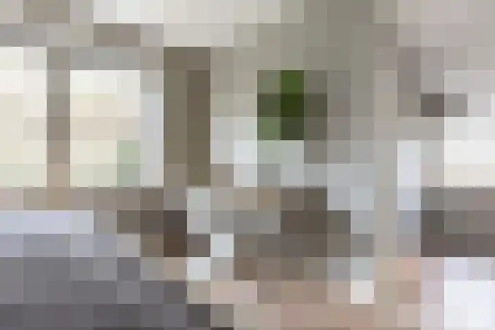 Olga von Gotschlaan 23 Santpoort-Zuid thumbnail 33
