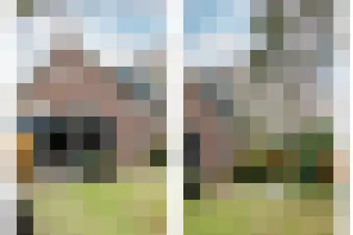 Olga von Gotschlaan 23 Santpoort-Zuid thumbnail 44