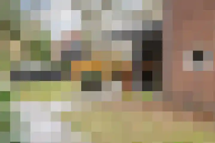 Olga von Gotschlaan 23 Santpoort-Zuid thumbnail 45