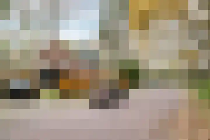 Olga von Gotschlaan 23 Santpoort-Zuid thumbnail 47