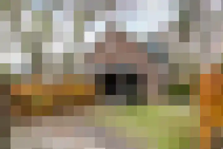 Olga von Gotschlaan 23 Santpoort-Zuid thumbnail 48