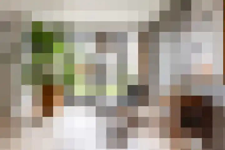 Olga von Gotschlaan 23 Santpoort-Zuid thumbnail 7