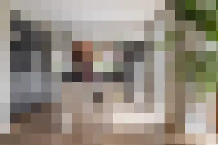 Olga von Gotschlaan 23 Santpoort-Zuid thumbnail 8