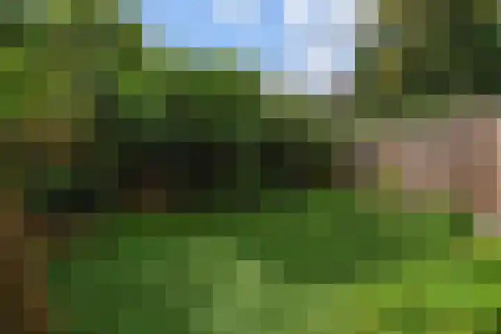 Olgaland 11 Den Haag thumbnail 11