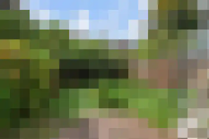 Olgaland 11 Den Haag thumbnail 17