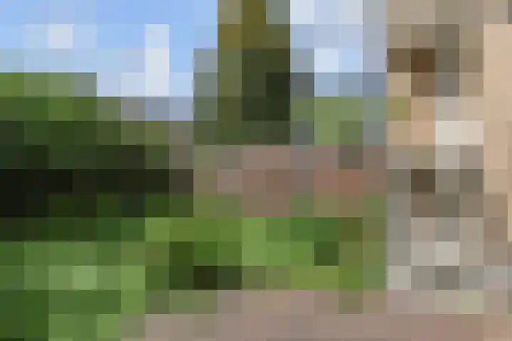 Olgaland 11 Den Haag thumbnail 19