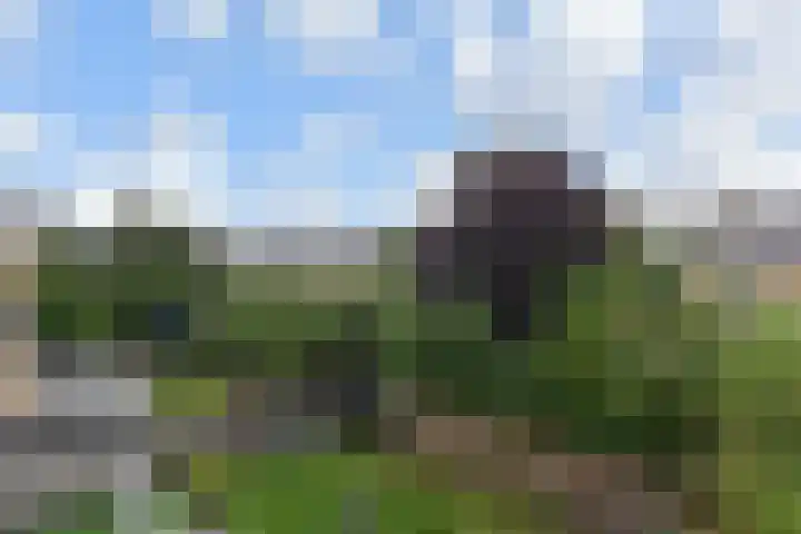 Olgaland 11 Den Haag thumbnail 37