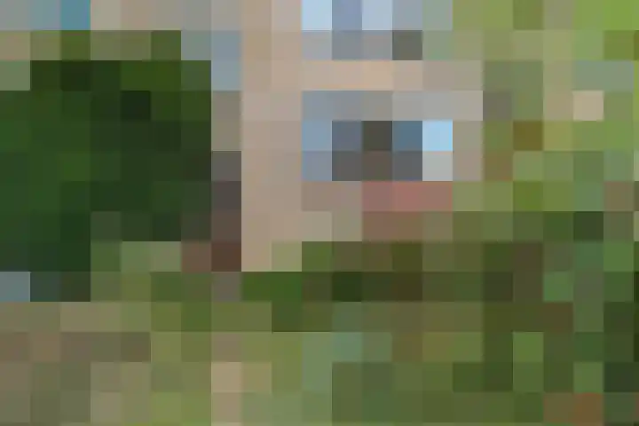 Olgaland 11 Den Haag thumbnail 4