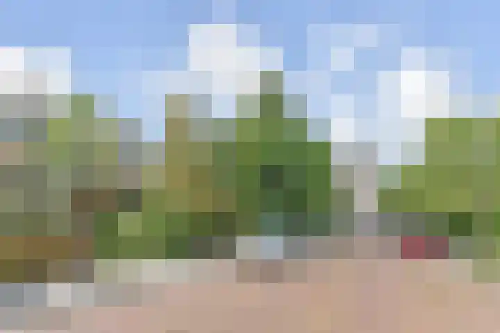 Olgaland 11 Den Haag thumbnail 52