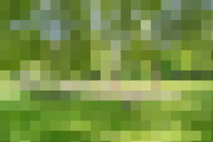 Olgaland 11 Den Haag thumbnail 53