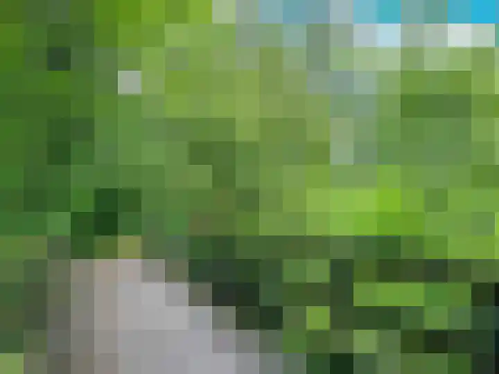 Olgaland 11 Den Haag thumbnail 54