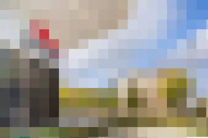 Olgaland 11 Den Haag thumbnail 56