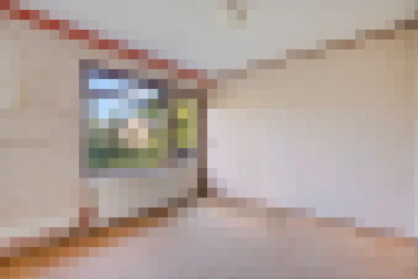 Olgaland 23 Den Haag thumbnail 17