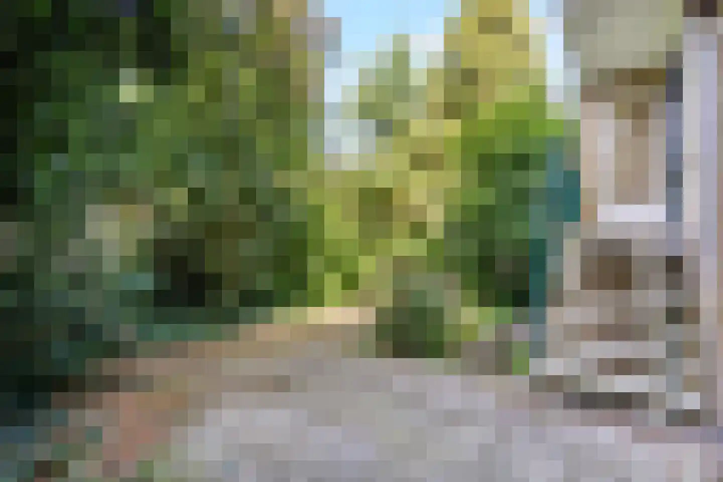 Olgaland 23 Den Haag thumbnail 33