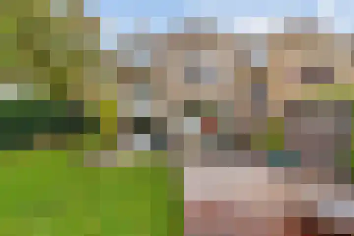 Olgaland 26 Den Haag thumbnail 40