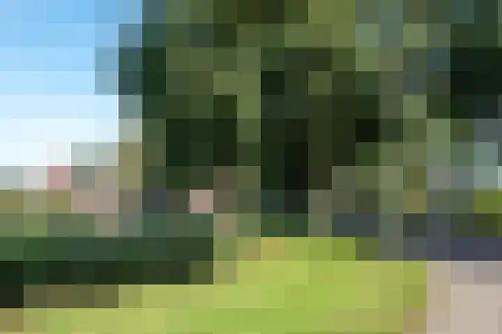 Olgerweg 68 Groningen thumbnail 10