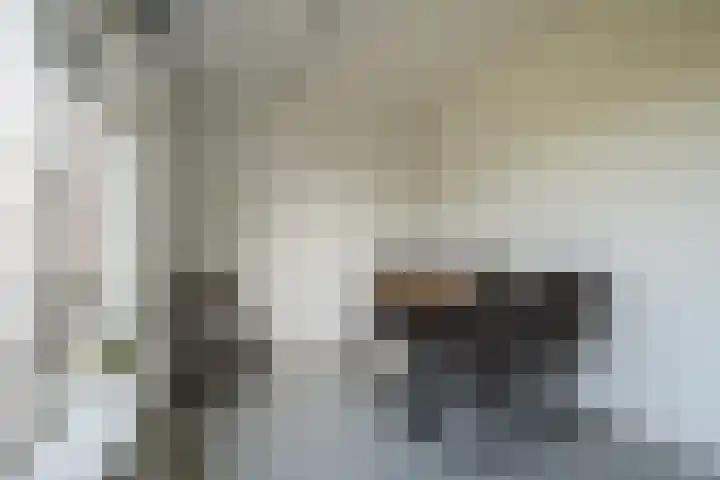 Olgerweg 68 Groningen thumbnail 19