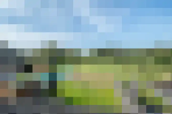 Olgerweg 68 Groningen thumbnail 31