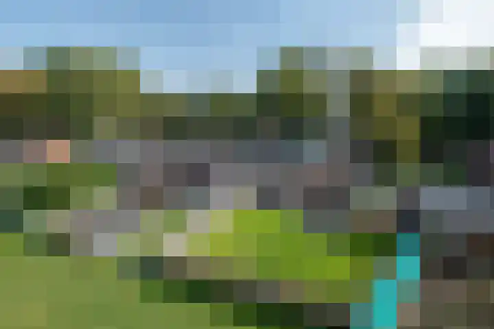 Olgerweg 68 Groningen thumbnail 32