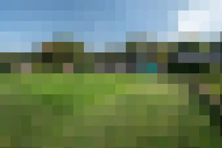 Olgerweg 68 Groningen thumbnail 40