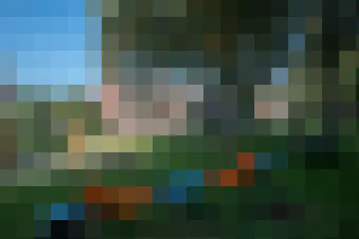 Olgerweg 68 Groningen thumbnail 9