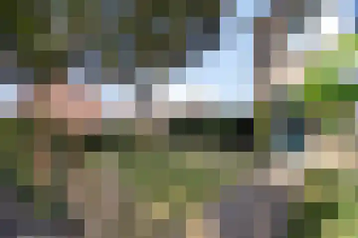 Olieakkerstraat 13 Heteren thumbnail 10