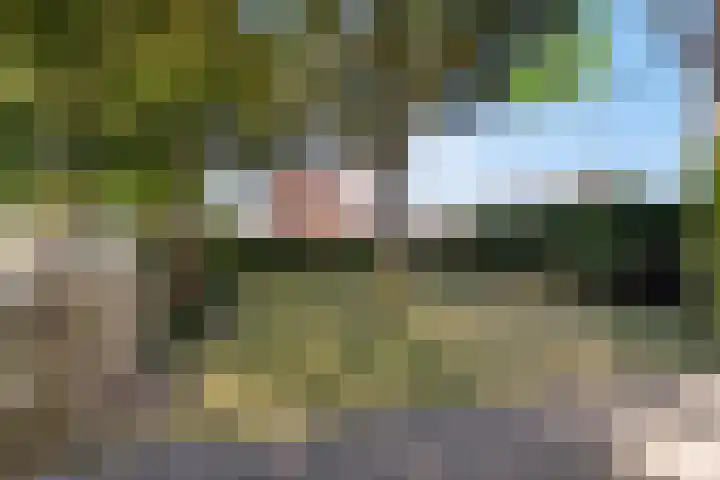 Olieakkerstraat 13 Heteren thumbnail 11