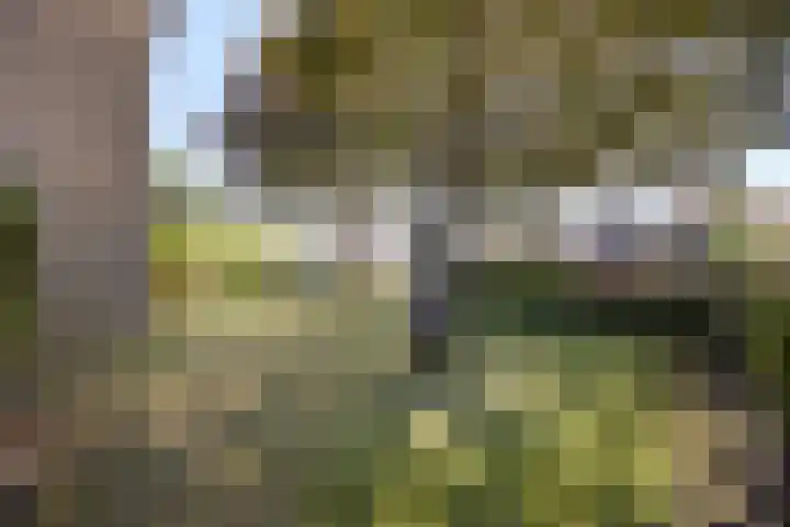 Olieakkerstraat 13 Heteren thumbnail 12