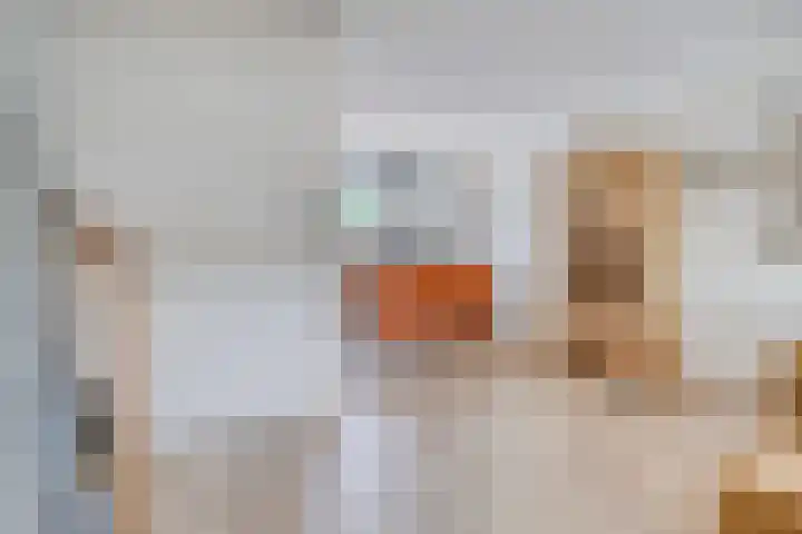 Olieakkerstraat 13 Heteren thumbnail 16