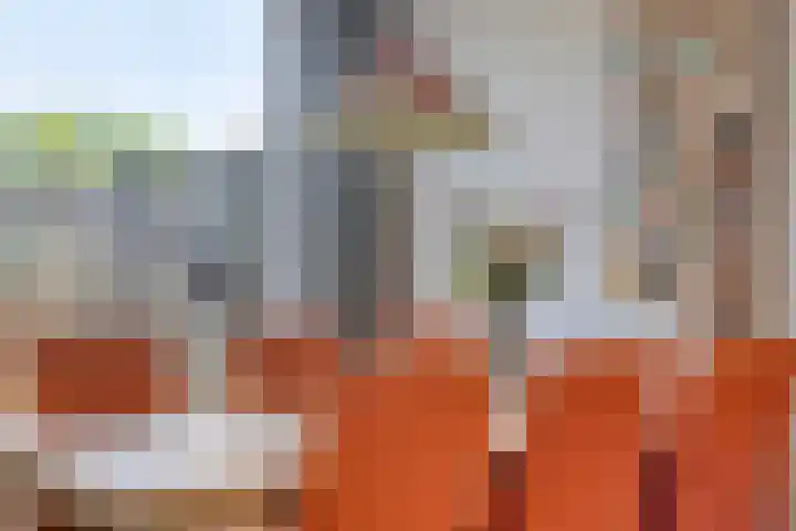 Olieakkerstraat 13 Heteren thumbnail 21