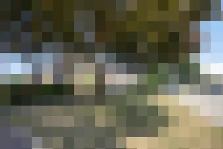 Olieakkerstraat 13 Heteren thumbnail 5