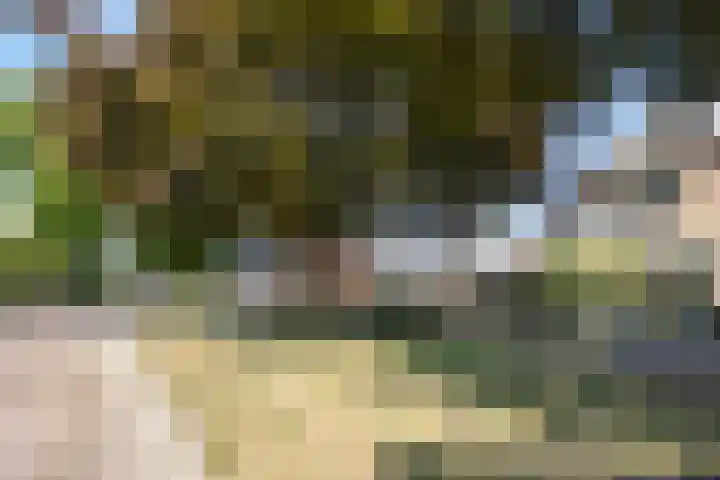Olieakkerstraat 13 Heteren thumbnail 6