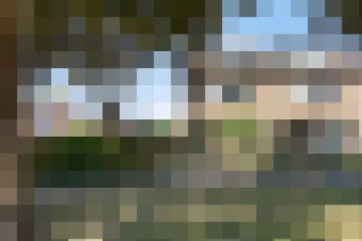 Olieakkerstraat 13 Heteren thumbnail 7