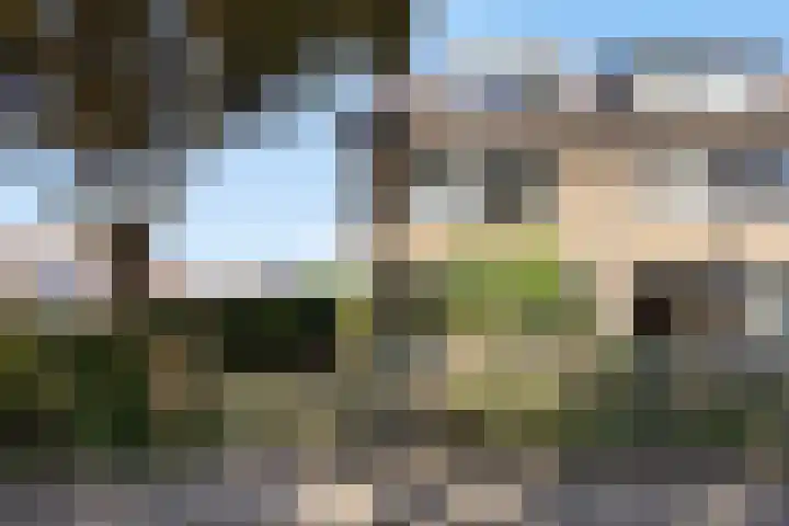 Olieakkerstraat 13 Heteren thumbnail 8