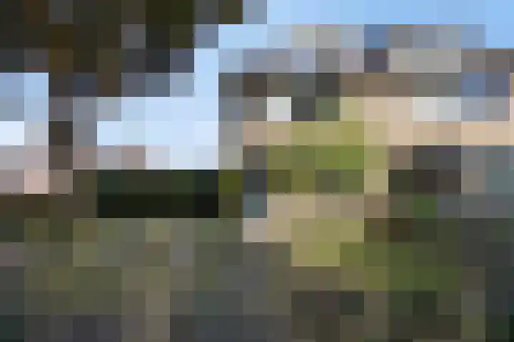 Olieakkerstraat 13 Heteren thumbnail 9