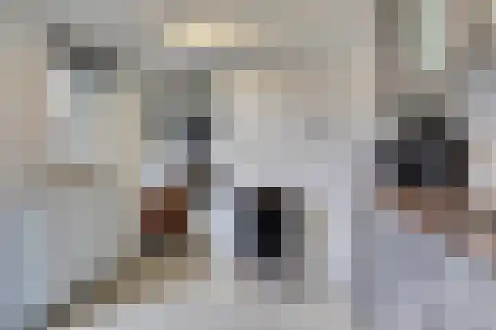 Olieberg 10 Roermond thumbnail 13