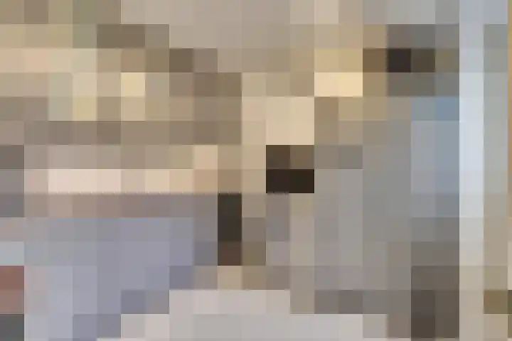 Olieberg 10 Roermond thumbnail 4
