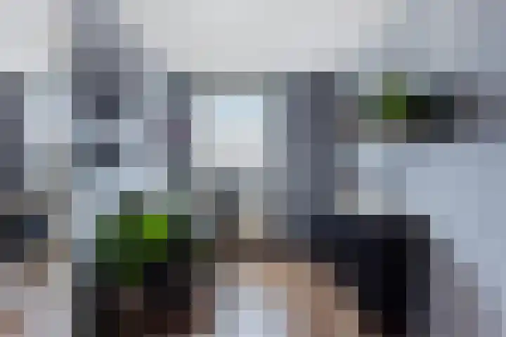 Oliemaat 108 Vlijmen thumbnail 10