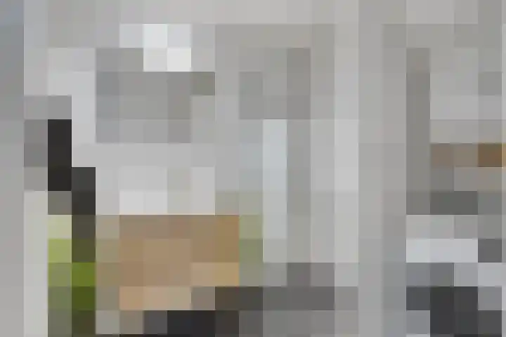 Oliemaat 108 Vlijmen thumbnail 17