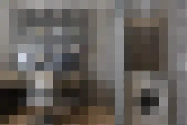 Oliemaat 109 Vlijmen thumbnail 16