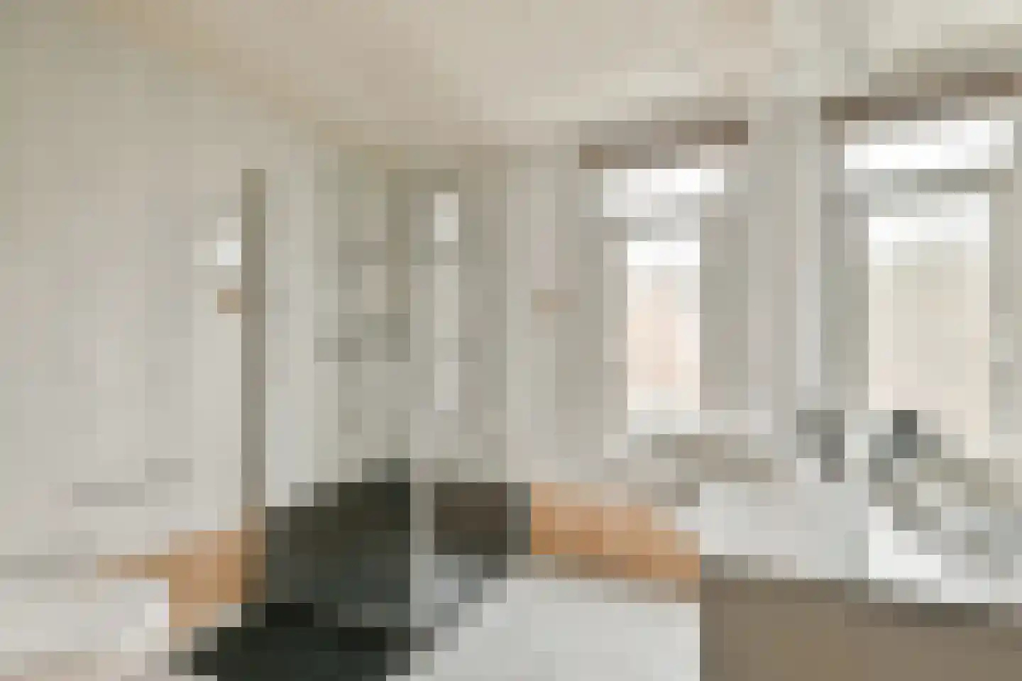 Oliemolen 10 Koog aan de Zaan thumbnail 17