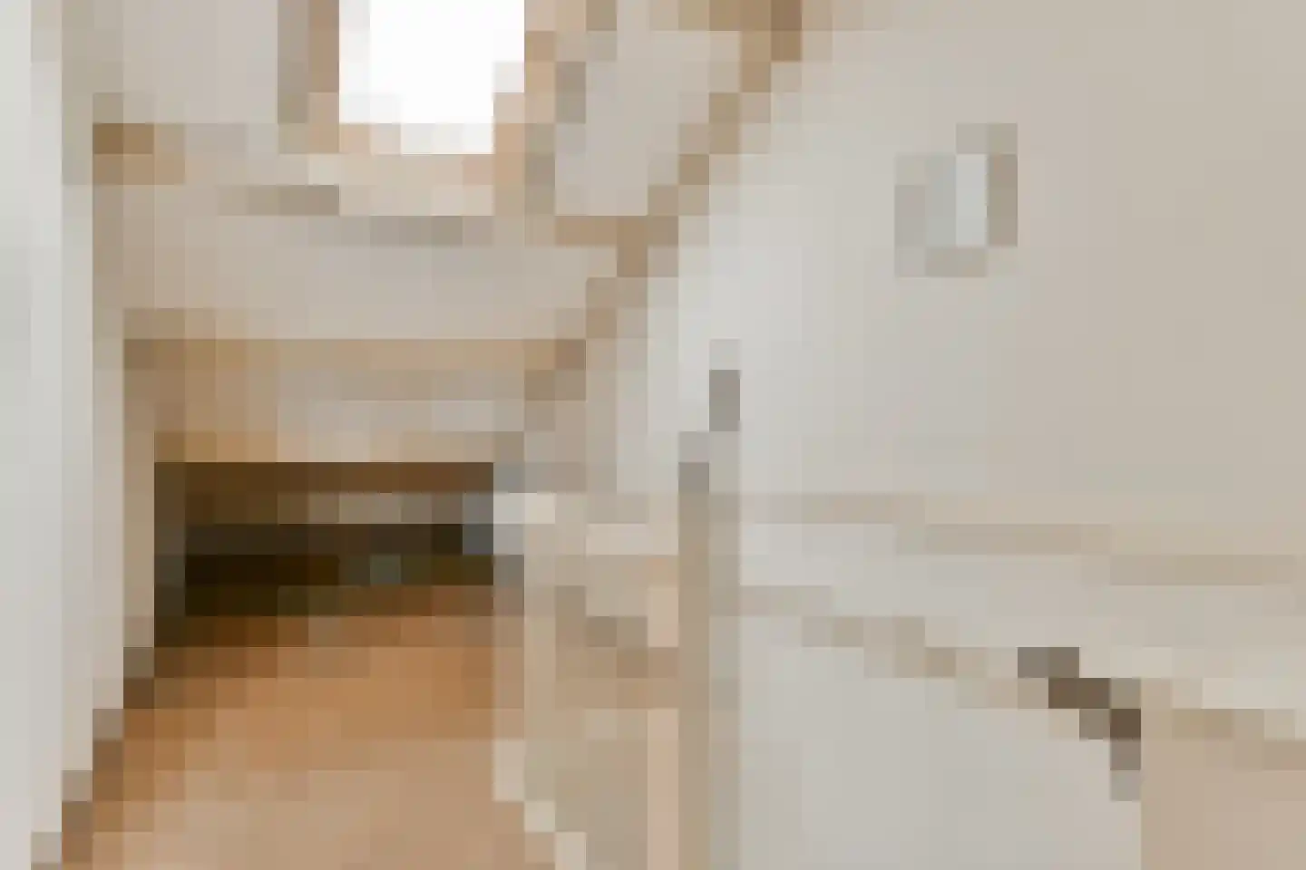 Oliemolen 10 Koog aan de Zaan thumbnail 19