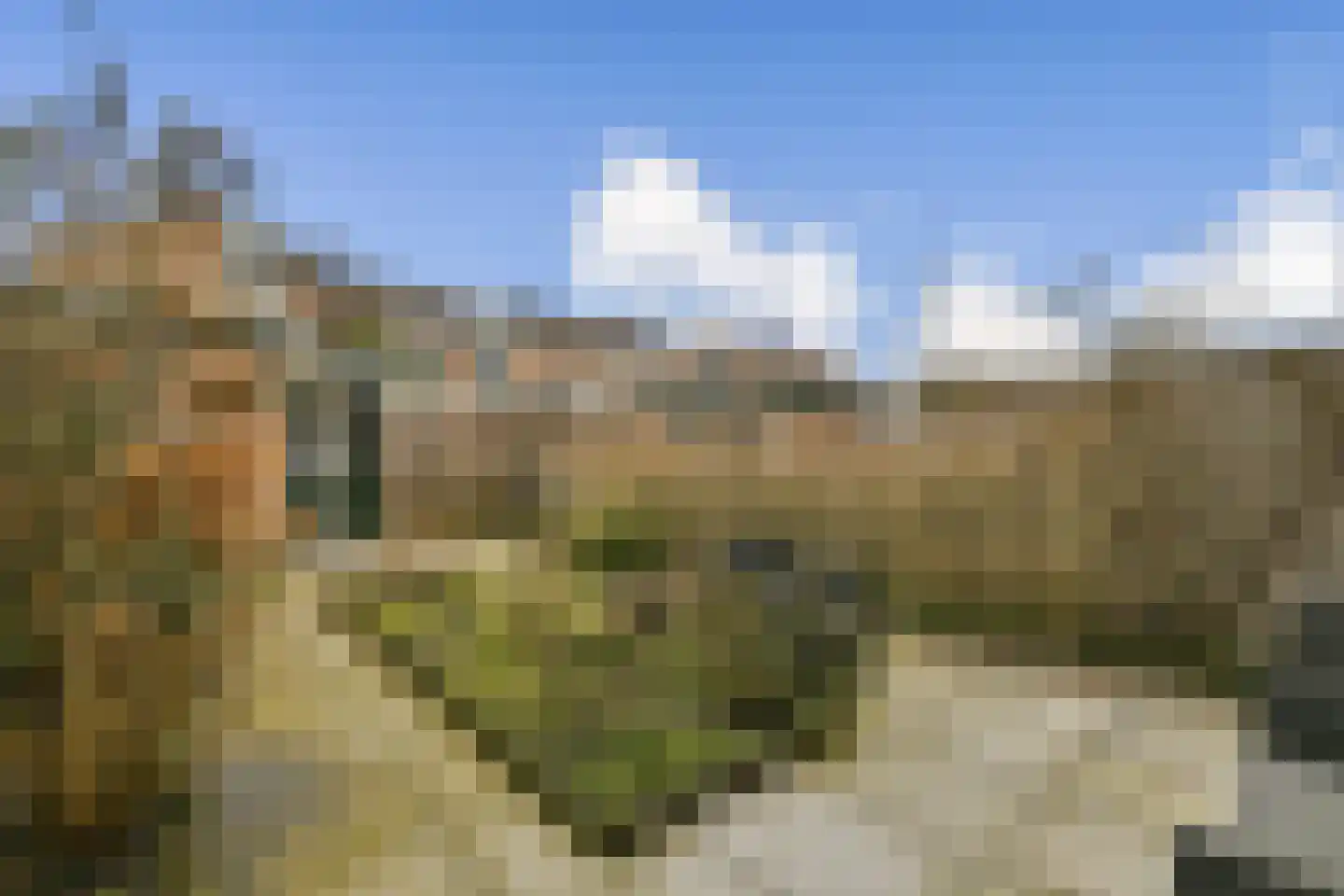 Oliemolen 10 Koog aan de Zaan foto 2