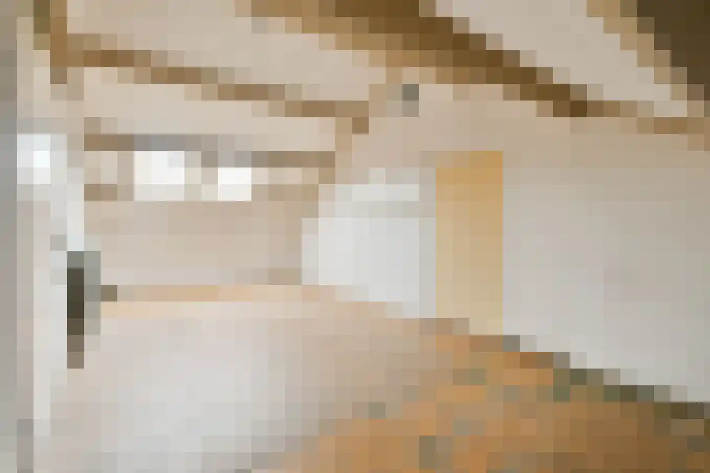 Oliemolen 10 Koog aan de Zaan thumbnail 20