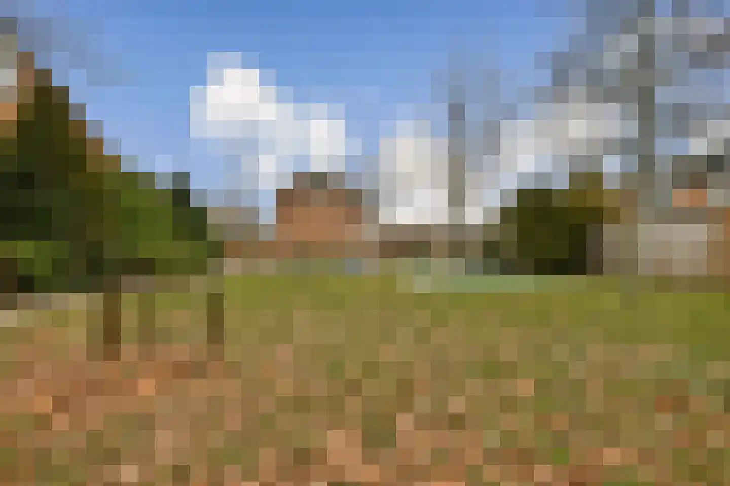 Oliemolen 10 Koog aan de Zaan thumbnail 23