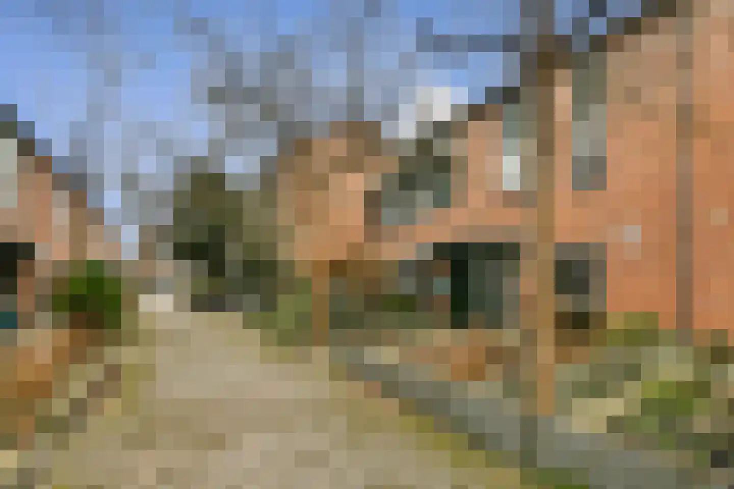 Oliemolen 10 Koog aan de Zaan thumbnail 5