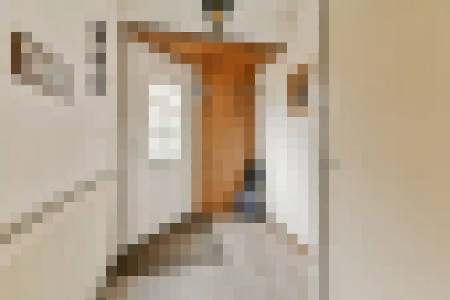 Oliemolen 10 Koog aan de Zaan thumbnail 6