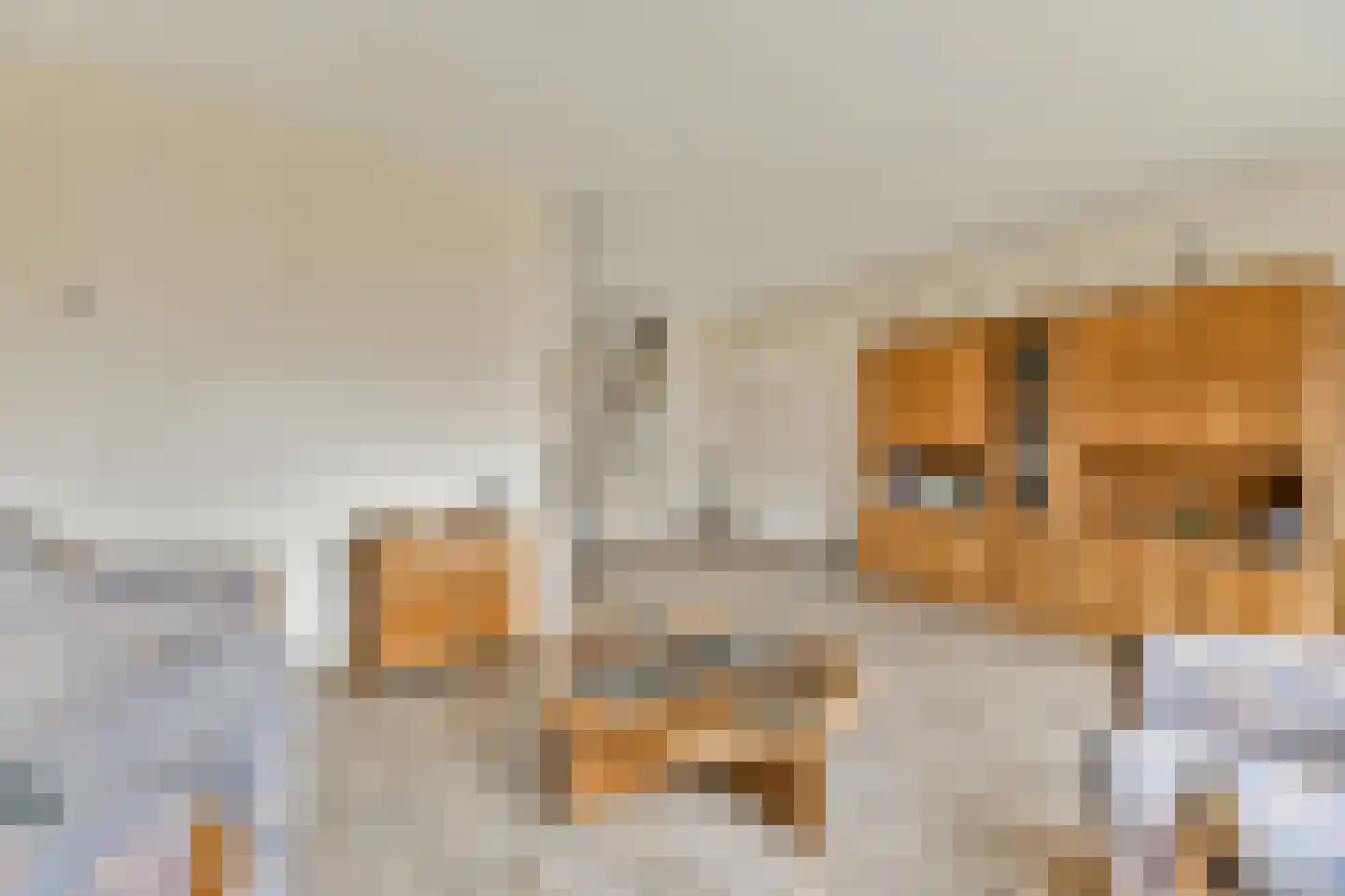 Oliemolen 10 Koog aan de Zaan thumbnail 9